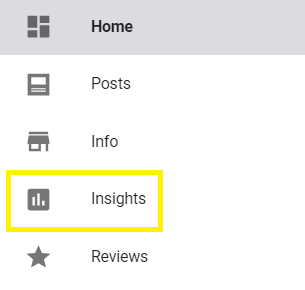 Google My Business Insights Tab